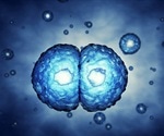 History of Stem Cells