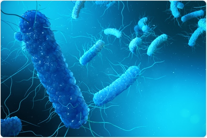 3D illustration Enterobacterias. Gram negativas Proteobacteria, bacteria such as salmonella, escherichia coli, yersinia pestis, klebsiella. Image Credit: Rost9 / Shutterstock