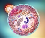 Waste disposal protein key to cancer tumor suppression in autophagy