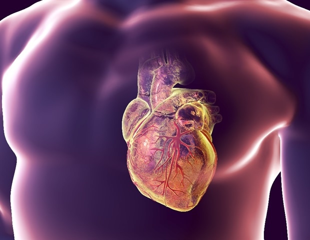 研究人员测试了一种将遗传物质送入体内修复受损心肌的方法