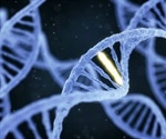 Study reveals the mechanism of common DNA mutations