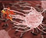Cells of the Innate Immune System