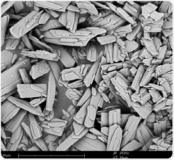 Pharmaceutical crystals observed with SEM.