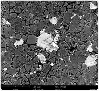 Pharmaceutical components including crystals observed with SEM.