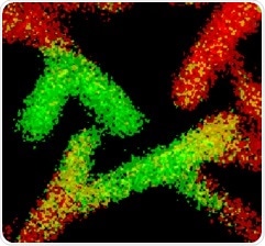 Overlay of C-C and C-OI chemical state images from a PEG-based coating on a PP mesh. Green regions = good coating coverage (C-O), red regions = poor coating coverage (C-C). Image dimensions = 0.8 x 0.8 mm.