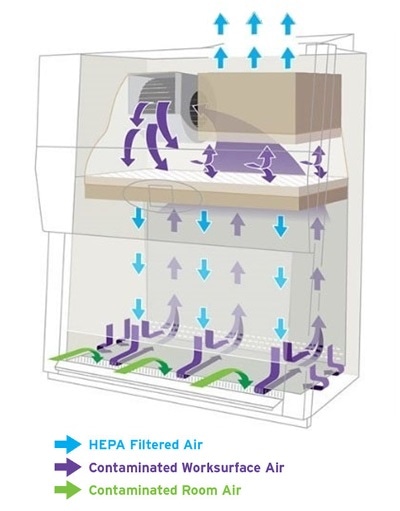 Biosafety cabinet airflow