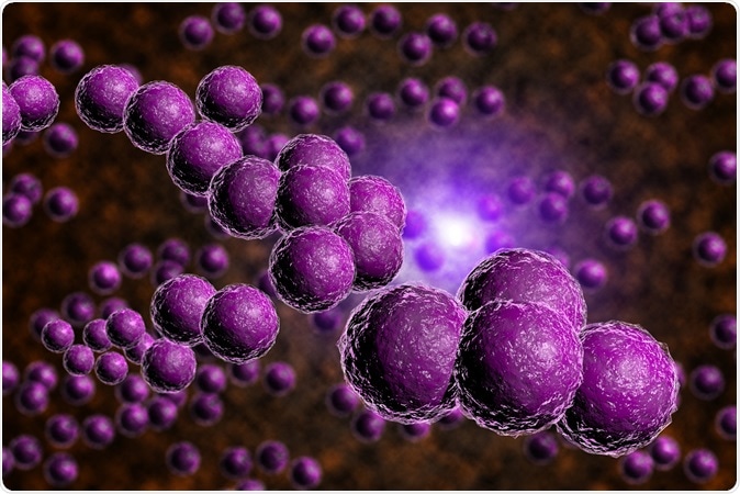 Closeup of purple staph bacteria in computer generated image. Image Credit: Ezume Images / Shutterstock