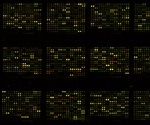 Small Molecule Microarrays for Drug Discovery