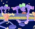 Glucose Transporter Proteins