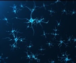 Neurogenesis diminishes after childhood, finds study