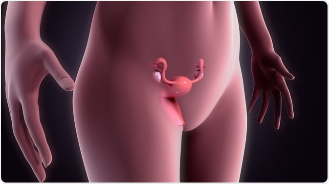 Congenital Anomalies of the Uterus