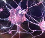 Waking up “sleeping” stem cells in the brain could improve its ability to repair injury