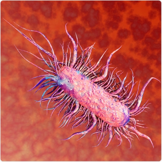 E.Coli Bacteria. Image Credit: MichaelTaylor3d / Shutterstock