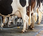 Cow's Milk Allergy Symptoms