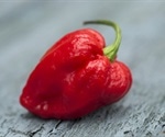 Hottest pepper gives man “thunderclap”