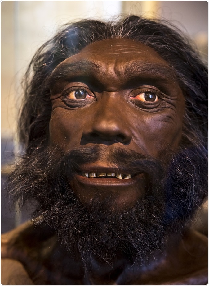 Mask representing the Homo Heidelbergensis, a caveman who lived on Earth thousands of Years ag. Marcio Jose Bastos Silva / Shutterstock.com