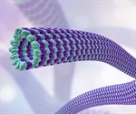 Microtubule Motor Proteins