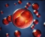 Stem cells cultured in vitro self-assemble into embryo