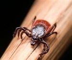 Ticks and mosquitoes a “growing health problem” says CDC