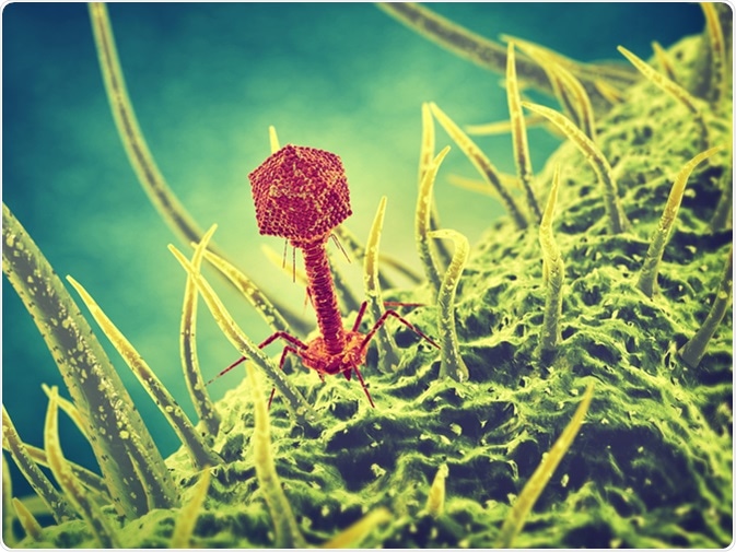 Bacteriophage virus illustration. Image Credit: nobeastsofierce / Shutterstock
