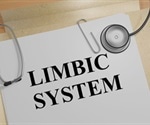 Limbic System and Motivation