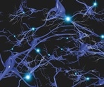 Researchers create a biomaterial that can be used to study the brain
