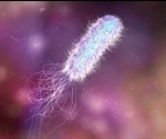 Antibiotic-resistant bacteria could help clear antibiotic contamination