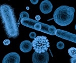 Researchers receive €2.35 million to examine disease pathways of viruses