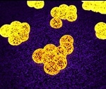 Scientists uncover new target for MRSA