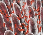 Good bacteria is bad news for atherosclerosis
