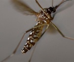 Friendly mosquito could be the next big step in malaria eradication