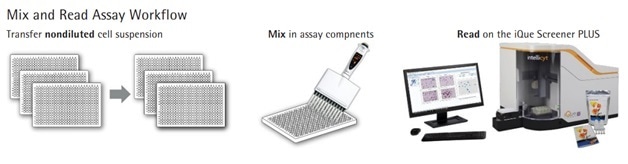 Mix and Read Assay Workflow: Transfer undiluted cell suspension into the plate, add in the assay components and then read on the Intellicyt iQue3 PLUS.