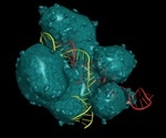 CRISPR Interference (CRISPRi) for Gene Suppression