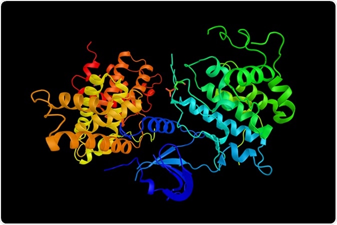Cyclin-dependent kinase 9, a cyclin-dependent kinase associated with P-TEFb. Involved in differentiation of skeletal muscle. 3d rendering. Image Credit: ibreakstock / Shutterstock