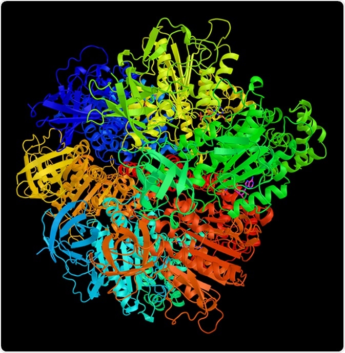ATPase F1 complex gamma subunit, which forms the central shaft that connects the F0 rotary motor to the F1 catalytic core. 3d rendering. Image Credit: ibreakstock / Shutterstock