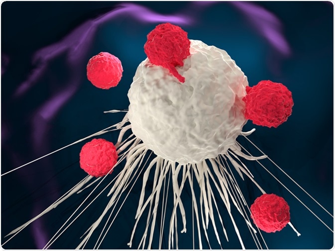 3D illustration of T cells attacking a cancer cell (CAR-T cell therapy). Image Credit: Meletios Verras / Shutterstock