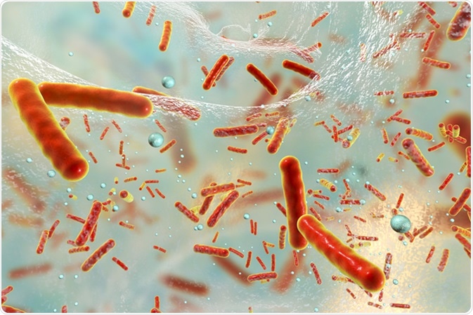 Antibiotic resistant bacteria inside a biofilm, 3D illustration. Biofilm is a community of bacteria where they aquire antibiotic resistance and communicate with each other by quorum sensing molecules. Image Credit: Kateryna Kon / Shutterstock
