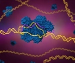International research team develops simplified CRISPR