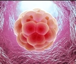 Researchers shed light on how stem cells move