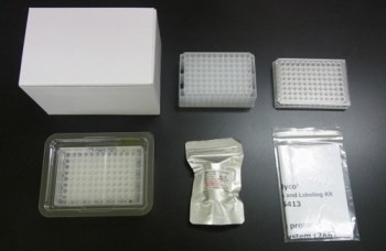 BlotGlyco Glycan Purification and Labeling Kit from S-BIO