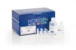 Norgen Biotek's Total RNA Purification Kit
