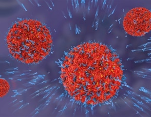 The Native Antigen Company expands infectious disease portfolio to include Sudan Ebolavirus Boniface 1976 Glycoprotein