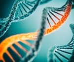 Scientists map DNA replication process at the most fundamental level