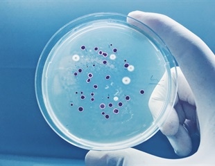 Diverse gut bacteria could help fight cryptosporidiosis
