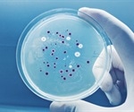Researchers have successfully produced small quantities of a new vaccine for anthrax using Bacillus bacteria
