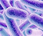 International research sheds light on Escherichia coli