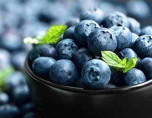 Protein found in cow’s milk could increase absorption of blueberries’ nutrients