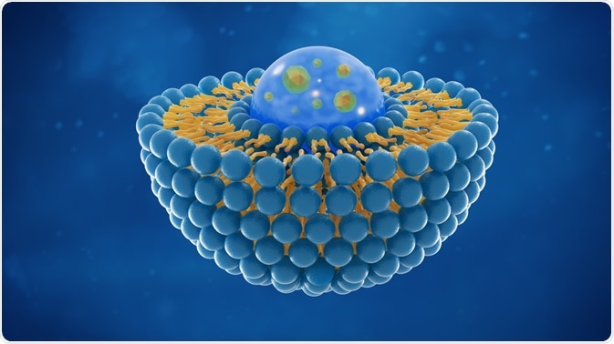 A liposome is an example of a nanoencapsulating micelle used in the pharmaceutical industry.