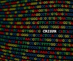 Study: TALEN is five times more efficient than CRISPR-Cas9 in tightly packed DNA