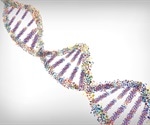 DNA' s double helix shape explained